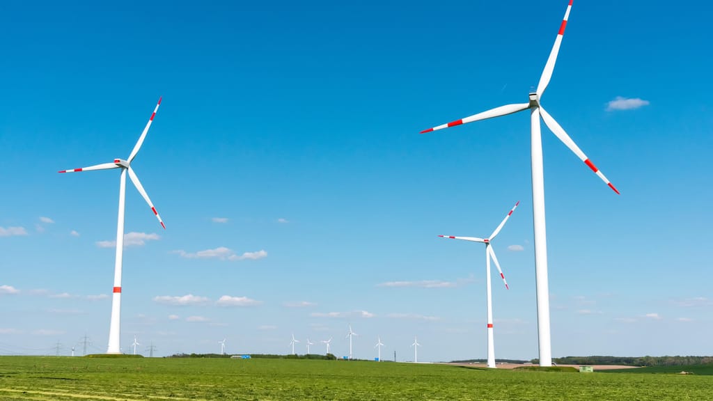 Die dunkle Seite der Windräder: Umweltlüge mit fatalen Folgen - economy - exxpress Nachrichten