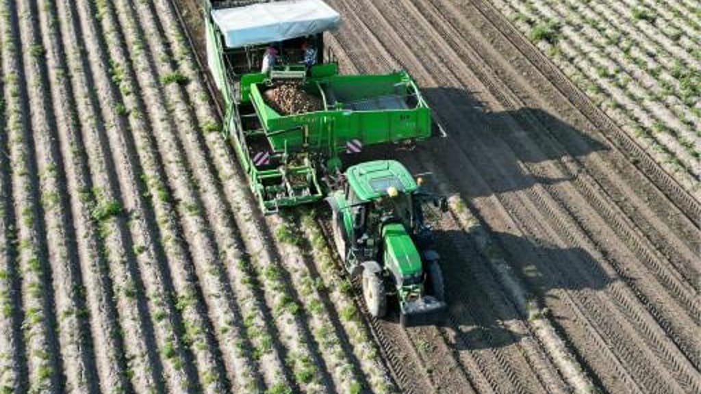 Bauernbund: Österreichische Lebensmittelproduktion in Gefahr - economy - exxpress Nachrichten