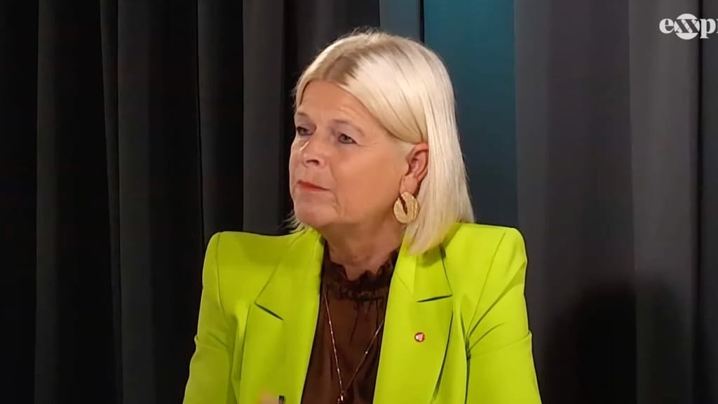 Tanner bei exxpressTV: „Eine fehlgeleitete Drohne kennt keine Neutralität“ - politik - exxpress Nachrichten