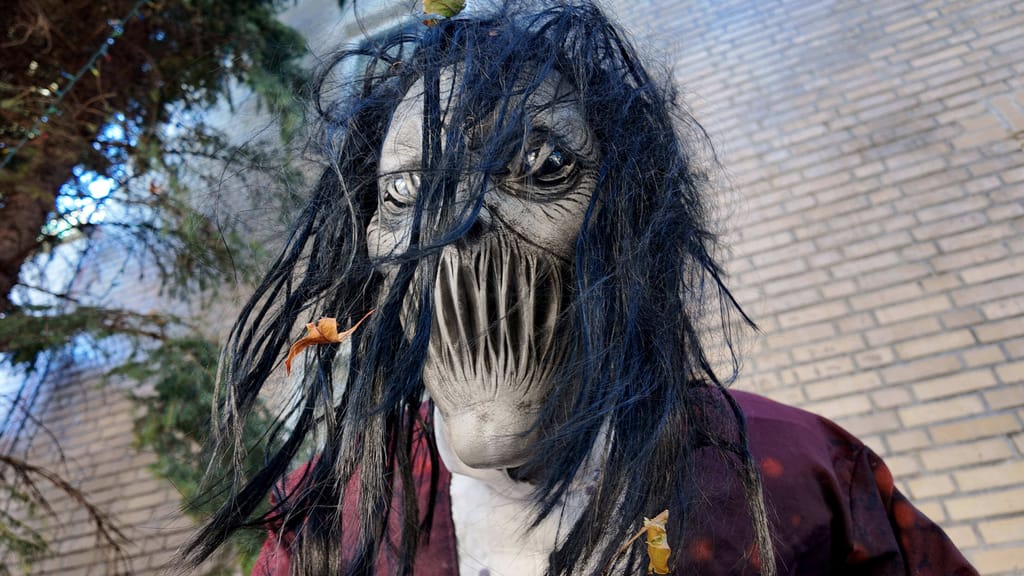 Halloween in NÖ: Wer randaliert, riskiert Anzeige und Strafe - politik - exxpress Nachrichten