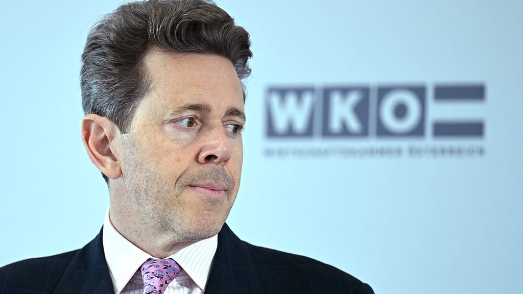 Nach heftiger Kritik: WKO halbiert Gehaltserhöhung seiner Beschäftigten - economy - exxpress Nachrichten