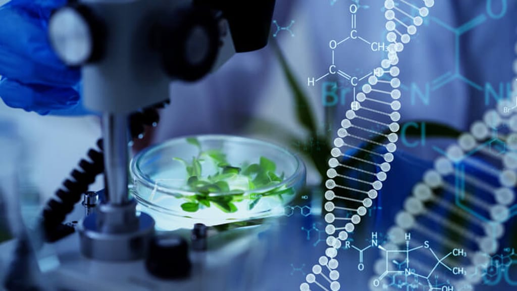 Gentechnik-Schock: EU schafft Kennzeichnung für Gen-Lebensmittel ab - news - exxpress Nachrichten