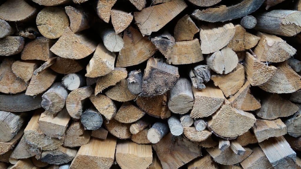 160 Jahre alte Holzbau-Ikone pleite – Schock für 270 Beschäftigte - economy - exxpress Nachrichten