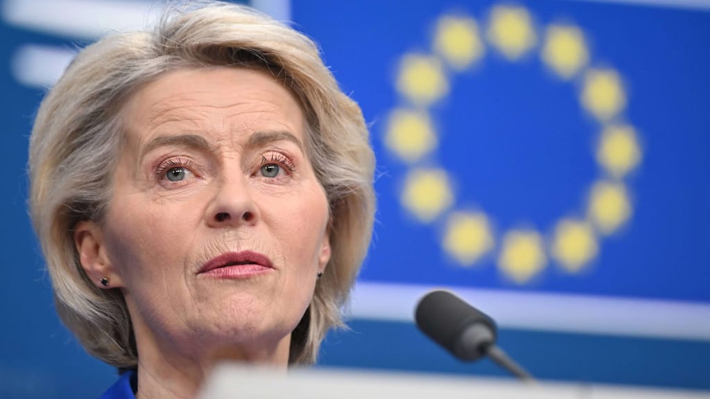 CO2-Grenzwerte für Unternehmen: Kommt das Verbrenner-Aus durch die Hintertür? - economy - exxpress Nachrichten