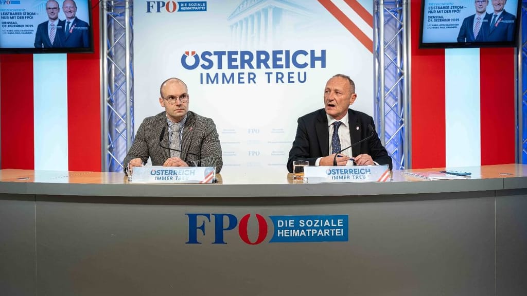 Grüner Postenschacher? FPÖ sieht geheimen Deal beim Billigstromgesetz - politik - exxpress Nachrichten