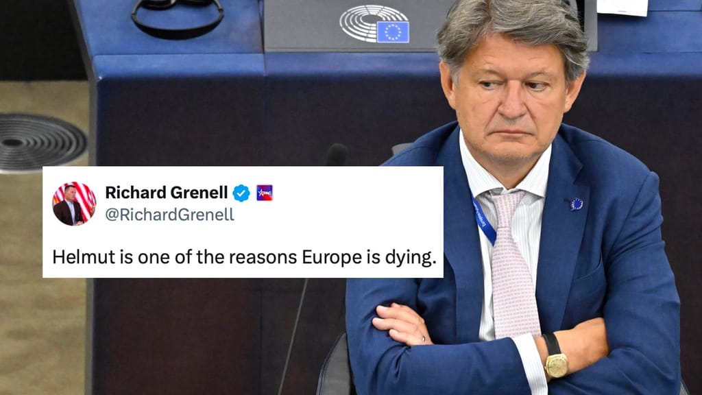 Trump-Mann über Brandstätter: „Helmut ist einer der Gründe, warum Europa stirbt“ - politik - exxpress Nachrichten