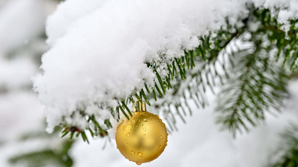 Weihnachtswunder: Schnee für große Teile Österreichs am Heiligen Abend - news - exxpress Nachrichten