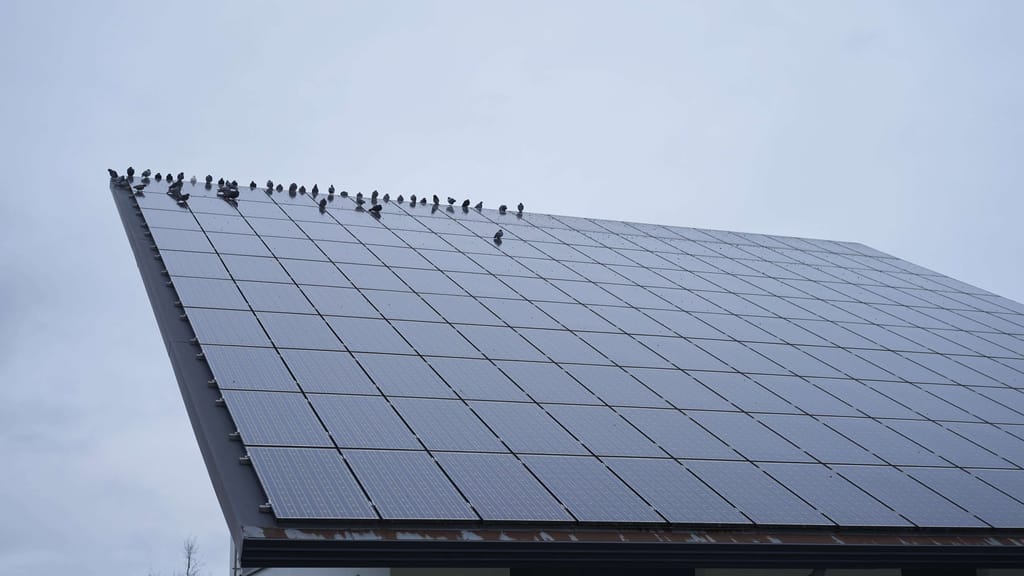 Hochnebel bremst Solarenergie: Ein Drittel weniger Strom aus PV-Anlagen - news - exxpress Nachrichten