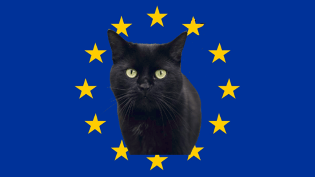 Katzen-Chips & Co.: EU-Regulierungswahn sorgt für Kopfschütteln - politik - exxpress Nachrichten