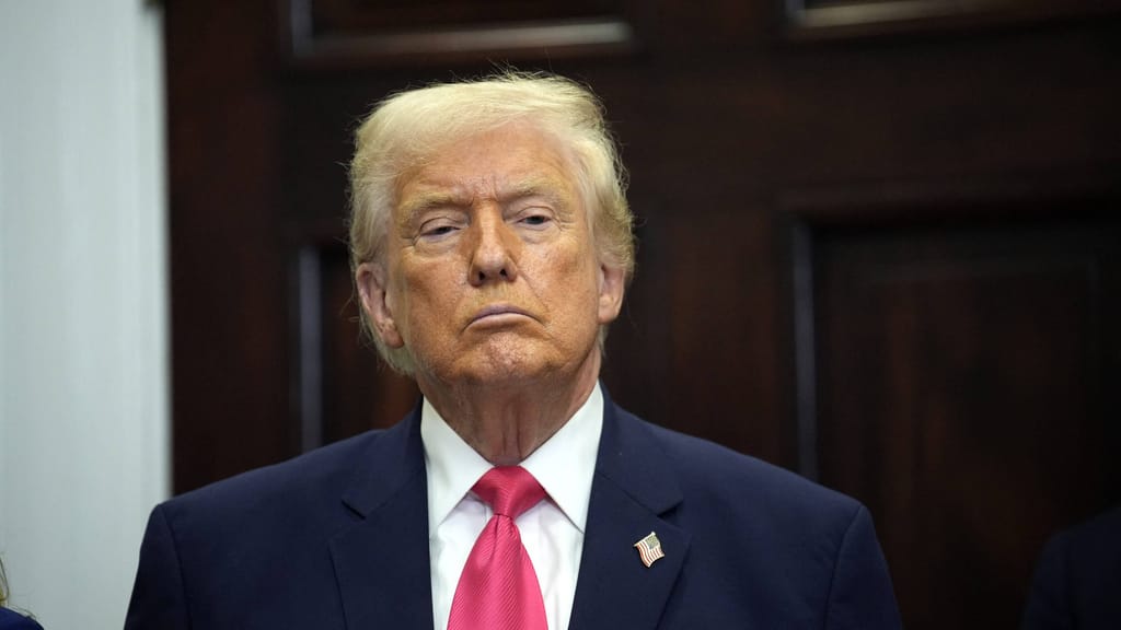 Wegen AfD-Einstufung als „rechtsextremistisch“: US-Regierung erwog Sanktionen - politik - exxpress Nachrichten