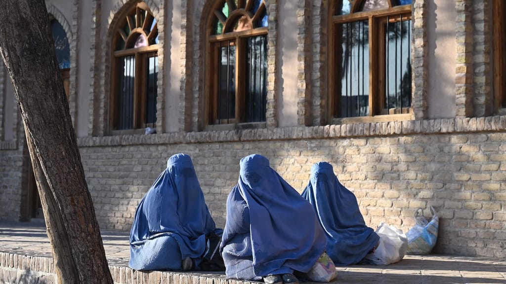 Asyl-Paradox: Gesamtzahlen sinken – Afghanen-Anträge explodieren - politik - exxpress Nachrichten