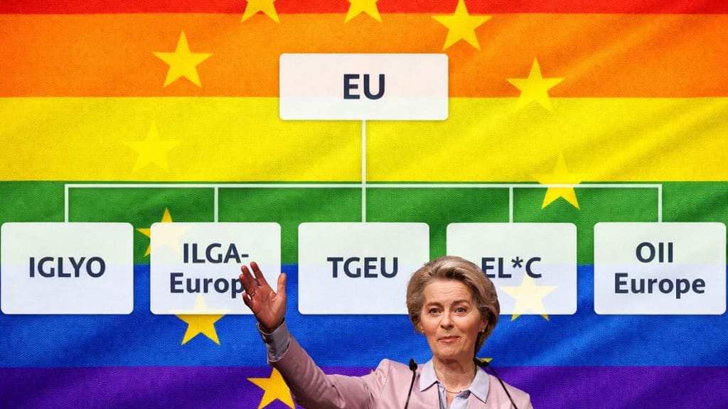 EU-Millionen für Gender-NGOs: Die Big-Five hinter Europas Identitätspolitik - news - exxpress Nachrichten