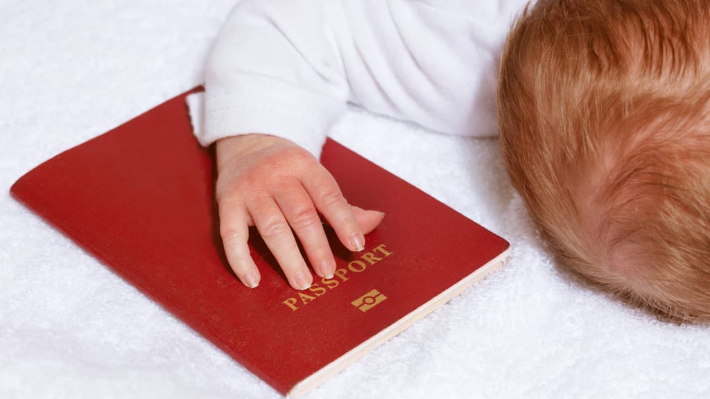 Automatischer Pass für Ausländer-Babys? Mehrheit der Österreicher sagt Nein - politik - exxpress Nachrichten