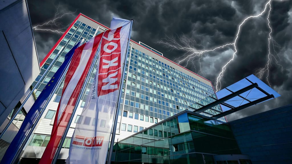 FW kritisiert WKO scharf: Reformankündigungen dürfen keine Luftblasen bleiben - economy - exxpress Nachrichten