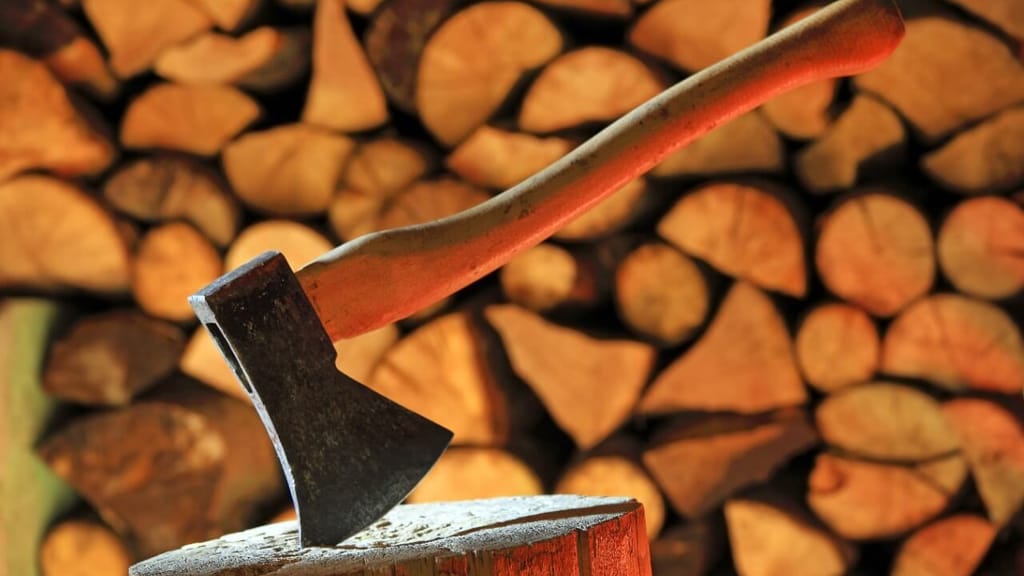 Holz so teuer wie nie: Knappes Angebot treibt Preise - economy - exxpress Nachrichten