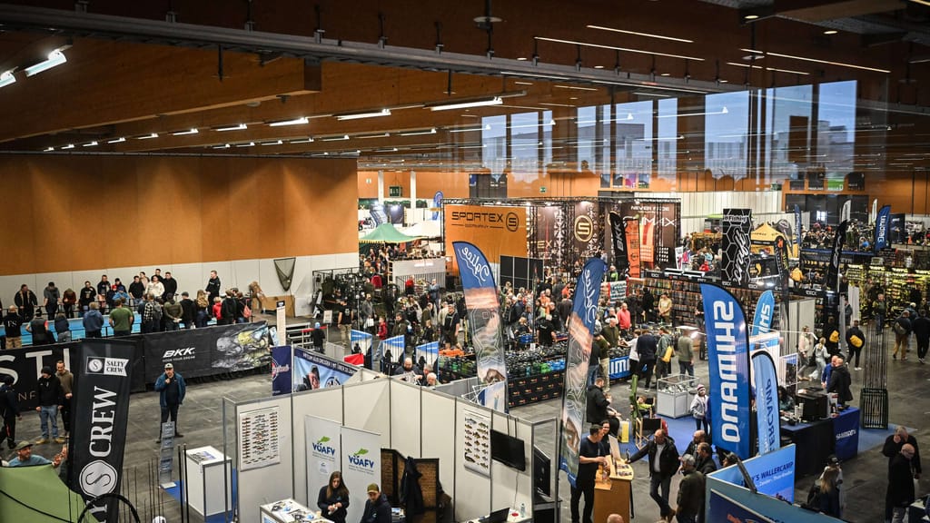 Messetrio in Wels zieht 22.300 Fans an – Besucherrekord bei Outdoor-Events - news - exxpress Nachrichten