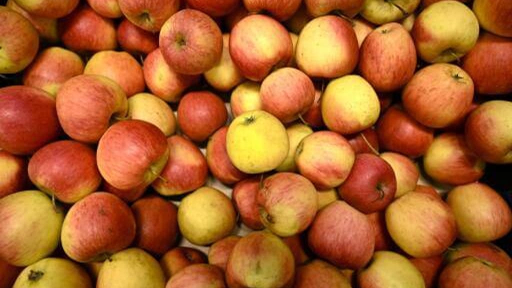 Nächster Hammer aus Brüssel: EU will jetzt Apfelwein regulieren - politik - exxpress Nachrichten