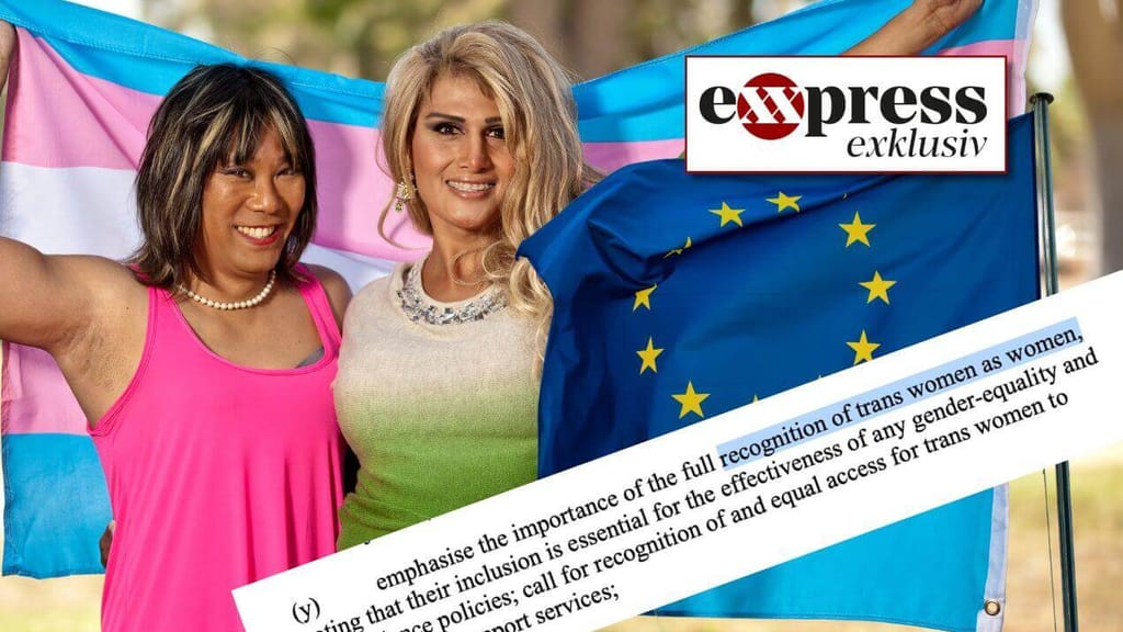 EU drückt Trans-Agenda in leerem Saal durch – ÖVP enthält sich - politik - exxpress Nachrichten