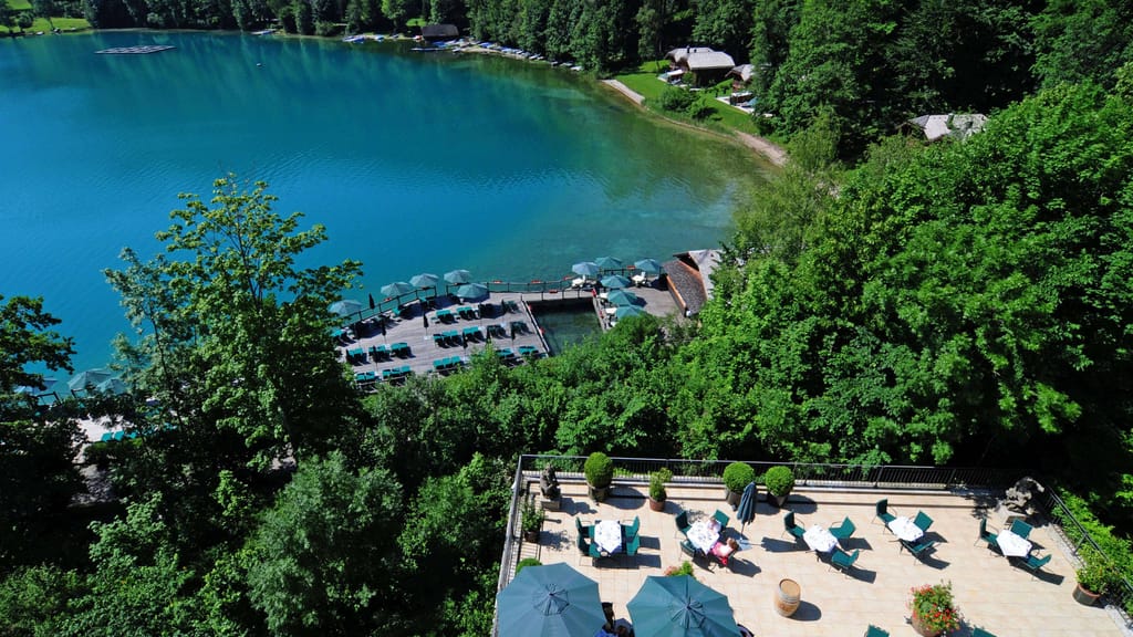 Tafelspitz für den Dackel: Luxushotel verwöhnt Hunde in Salzburg - lifestyle - exxpress Nachrichten