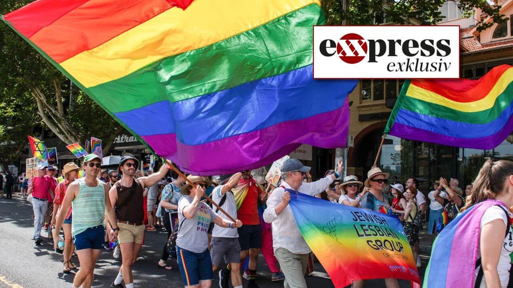 Dafür bekam Intersex-Verein mehr als 460.000 Euro Steuergeld - politik - exxpress Nachrichten