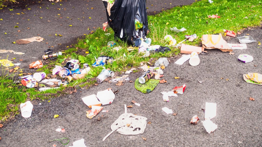Mit Unterstützung der Grünen: Umweltschützer verteilen Müll vor Häusern - politik - exxpress Nachrichten