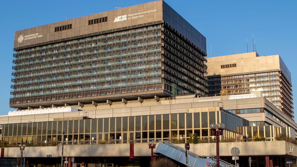 Medizinische Spitzenklasse: AKH Wien unter den 20 besten Krankenhäusern der Welt - economy - exxpress Nachrichten