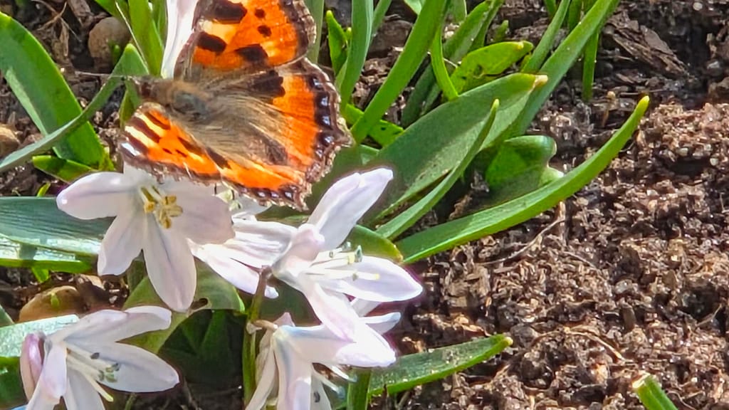 Temperatur-Sprung auf 18 Grad: Jetzt kommt der Frühling - news - exxpress Nachrichten