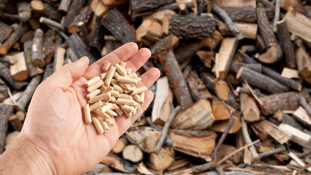 Pellets deutlich teurer: Heizkosten steigen kräftig an - economy - exxpress Nachrichten