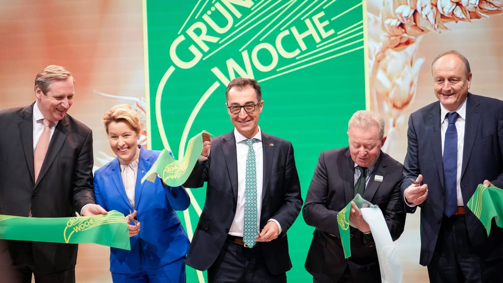 Heinzlmaier: „Egal was man wählt – am Ende bekommt man immer die Grünen“ - politik - exxpress Nachrichten