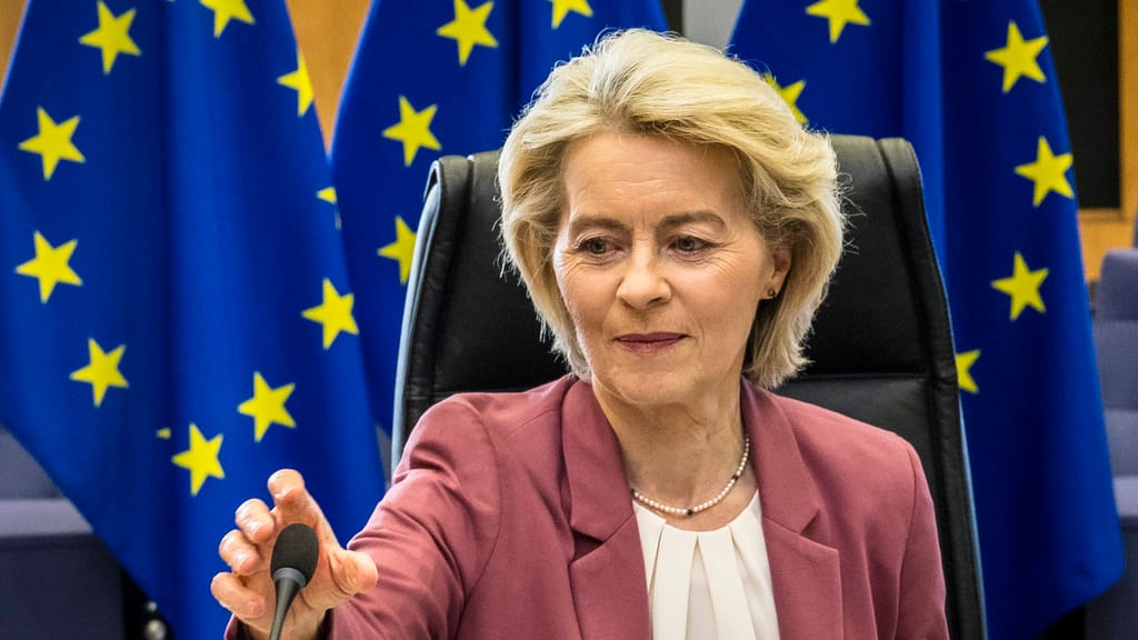 Brüsseler Bürokratie schlägt zu: Neue Verpackungsregeln treffen Unternehmen - politik - exxpress Nachrichten