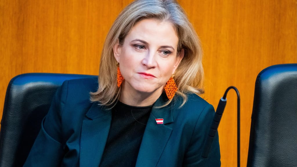 Schellhorn gegen NEOS: „Freiheitsenergien? Das ist eine Bankrotterklärung“ - politik - exxpress Nachrichten