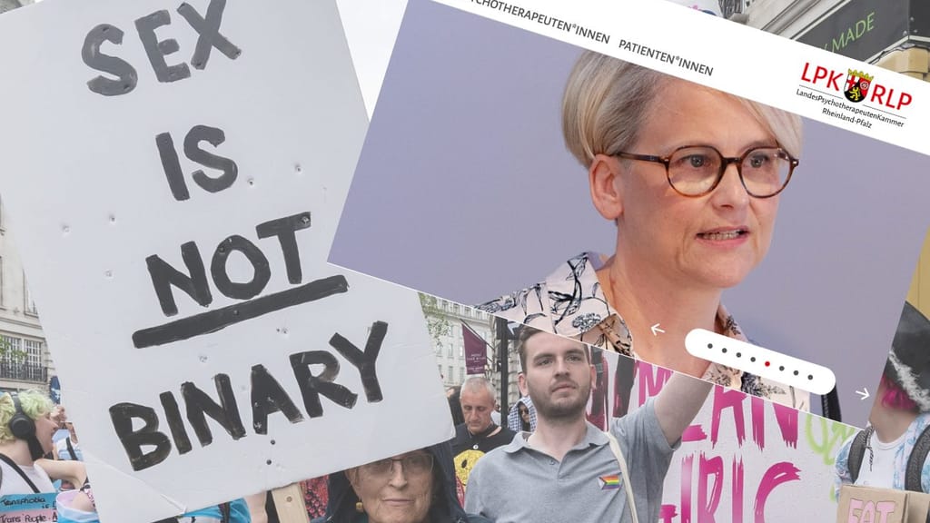 Video-Leak enthüllt: Top-Psychotherapeutin gab Kassen-Tricks für Trans-Eingriffe - politik - exxpress Nachrichten
