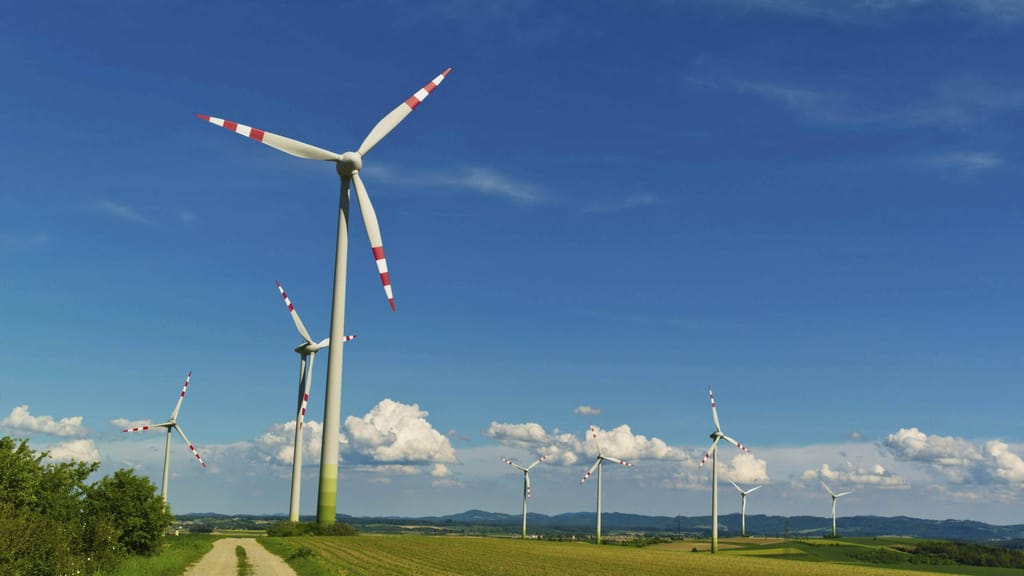 Energie-Hammer: So viel Ökostrom müssen die Länder mit Windrädern & Co. erzeugen - economy - exxpress Nachrichten