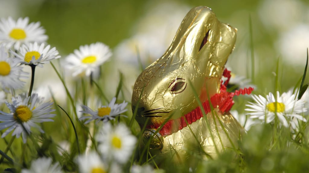 Schock vor Ostern: So teuer sind jetzt Schokohasen - economy - exxpress Nachrichten