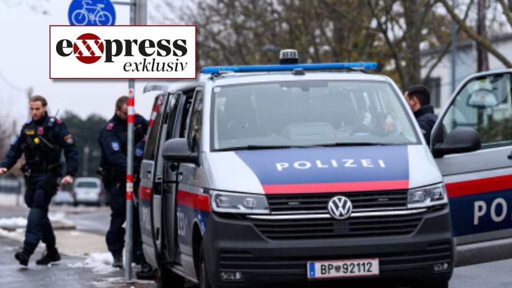 FPÖ zu Kriminalstatistik: „Ergebnis einer völlig verfehlten Willkommenspolitik“ - politik - exxpress Nachrichten