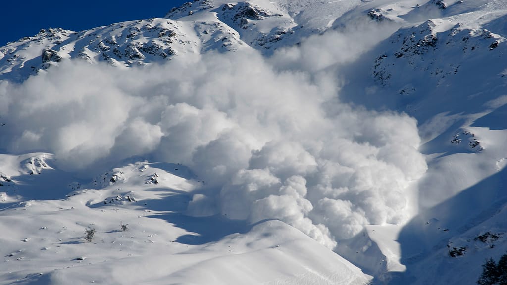 Tödlicher Winter in den Alpen: Zahl der Lawinenopfer fast verdoppelt - news - exxpress Nachrichten