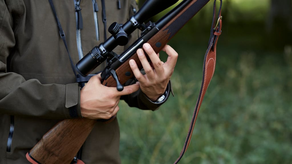 90 Prozent Abschussquote: Starke Bilanz für das Jagdjahr 2025/26 - news - exxpress Nachrichten