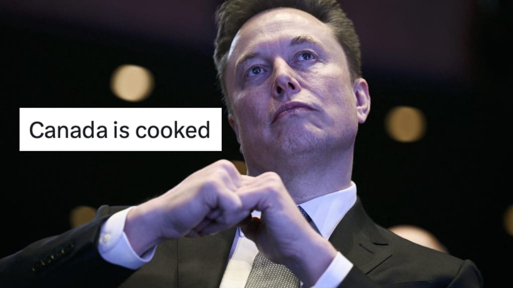 „Kanada ist durch“: Musk spottet über queeres Mega-Akronym – Shitstorm im Netz - politik - exxpress Nachrichten