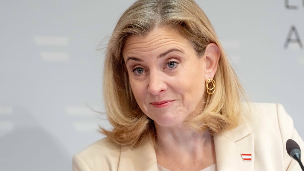 "Willkommen zurück, liebe Nachbarn!" – So reagiert Meinl-Reisinger auf Ungarn-Wahl - politik - exxpress Nachrichten