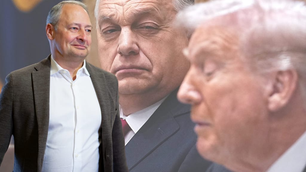 „Oida, blada Illiberaler“ – Entgleisung von SPÖ-Schieder über Orbán - politik - exxpress Nachrichten