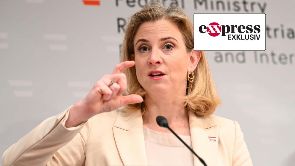 Aus für EU-Einstimmigkeit? Meinl-Reisinger dafür – Experte schlägt Alarm - politik - exxpress Nachrichten