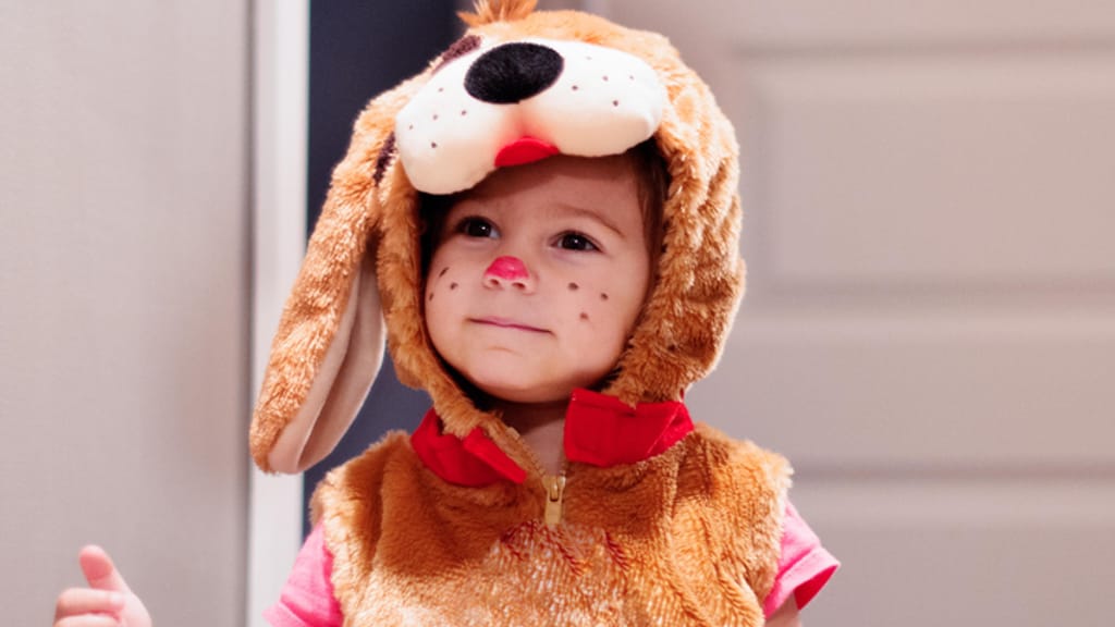 Kinder als Hundewelpen identifizieren? – Streit endet mit Schulverweis - politik - exxpress Nachrichten
