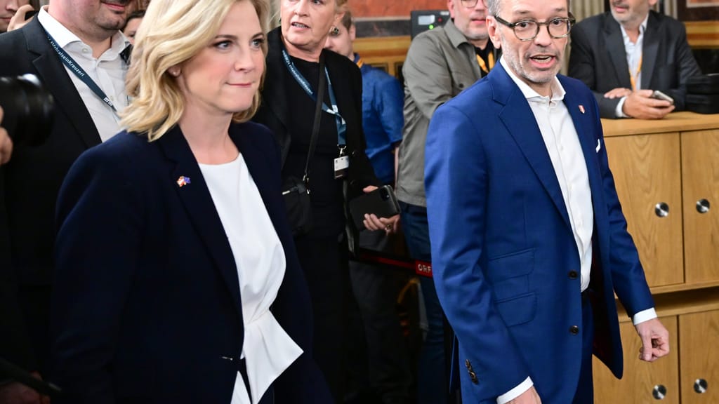 FPÖ vs. Neos: Heftiger Streit um EU-Veto-Recht entbrennt im Netz - politik - exxpress Nachrichten