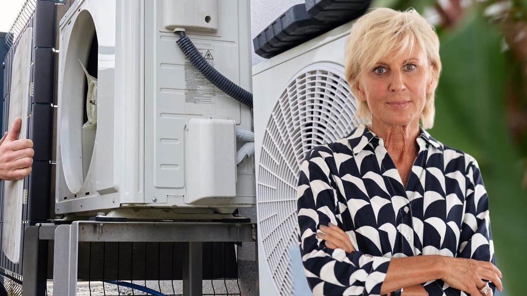Volksanwältin entlarvt Wien: Hauseigentümer beim Gas-Ausstieg im Stich gelassen - news - exxpress Nachrichten