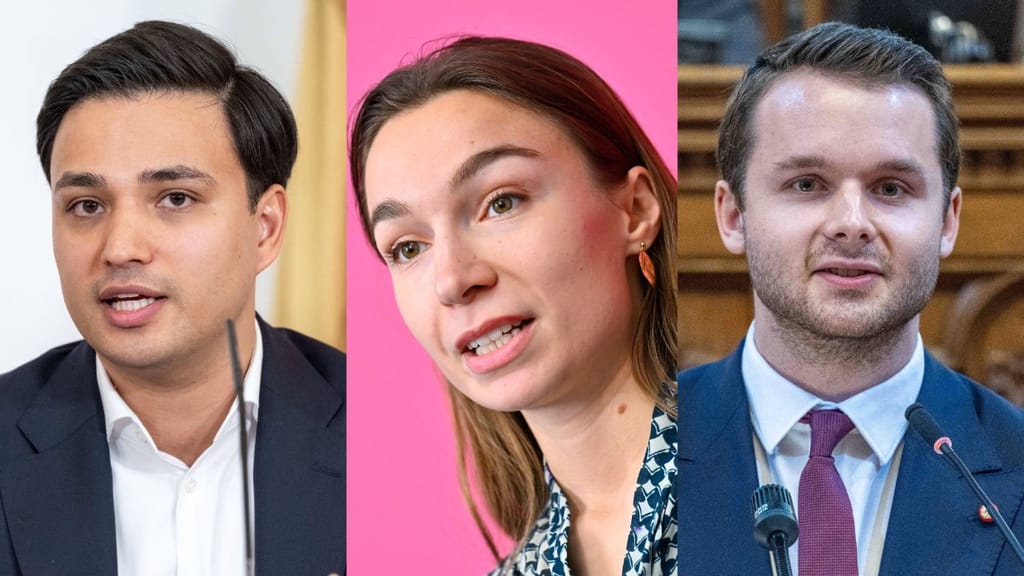 Wie viele Bundesländer gibt es? Peinlicher Streit zwischen ÖVP und NEOS im Netz - politik - exxpress Nachrichten