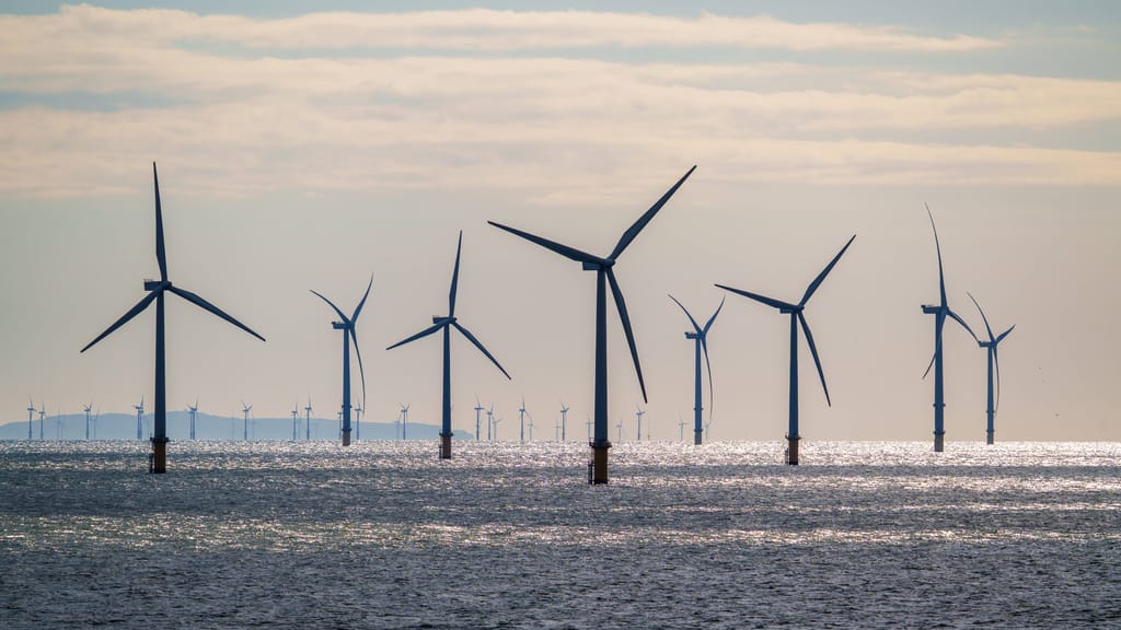 Grüne Energie als Sicherheitslücke: EU stoppt China-Subventionen - economy - exxpress Nachrichten