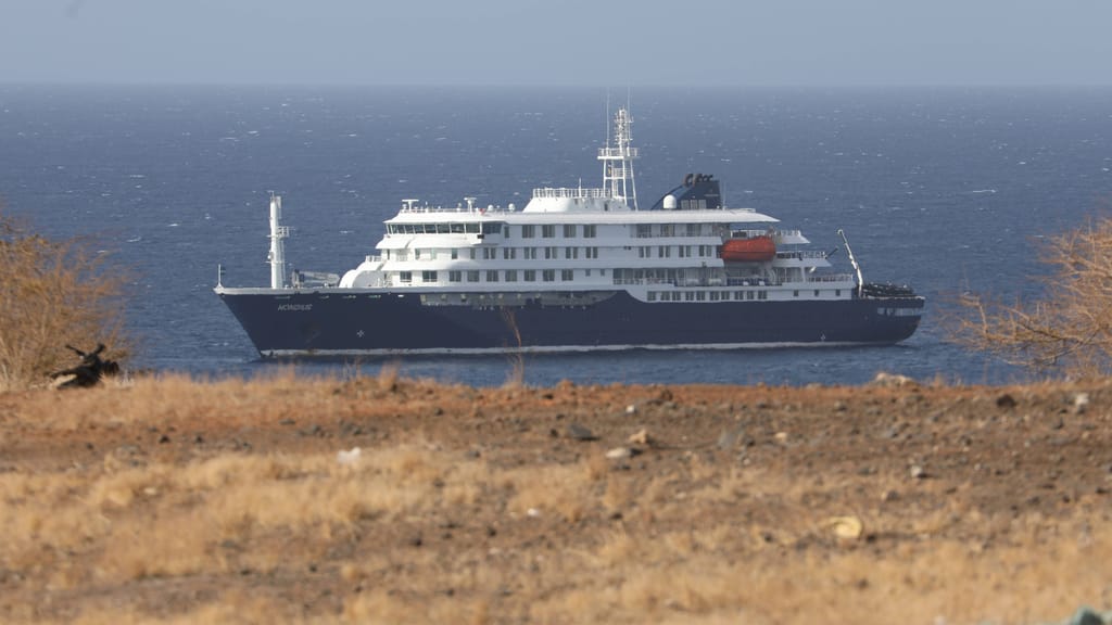 Hantavirus auf Kreuzfahrtschiff breitet sich aus: WHO schlägt Alarm - news - exxpress Nachrichten