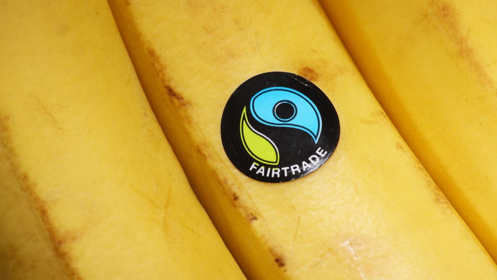 Lebensmittel-Schock droht: Fairtrade-Chef warnt vor Preisexplosion - economy - exxpress Nachrichten