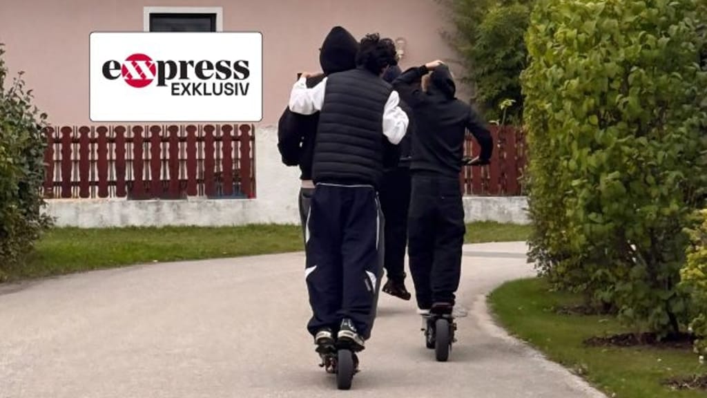 Islamische Kinderbande tyrannisiert Ebreichsdorf - news - exxpress Nachrichten