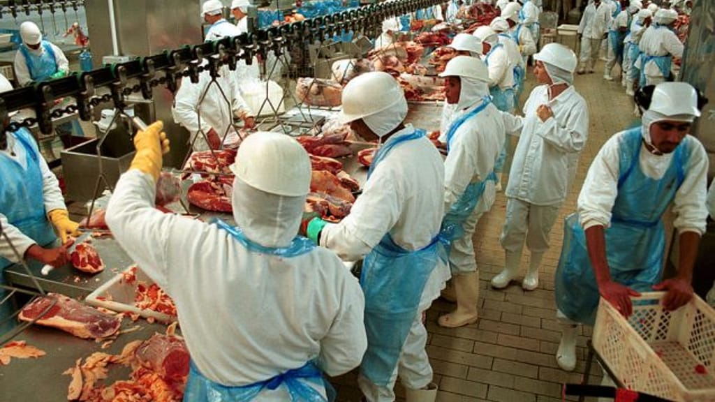 Werden wir mit „Hormon-Fleisch" aus Brasilien vergiftet? - news - exxpress Nachrichten